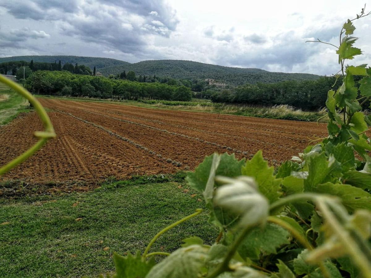 Claudia Vacanza Toscana - Appartamento Nocciolo- 10 Min Da Siena Malignano Zewnętrze zdjęcie
