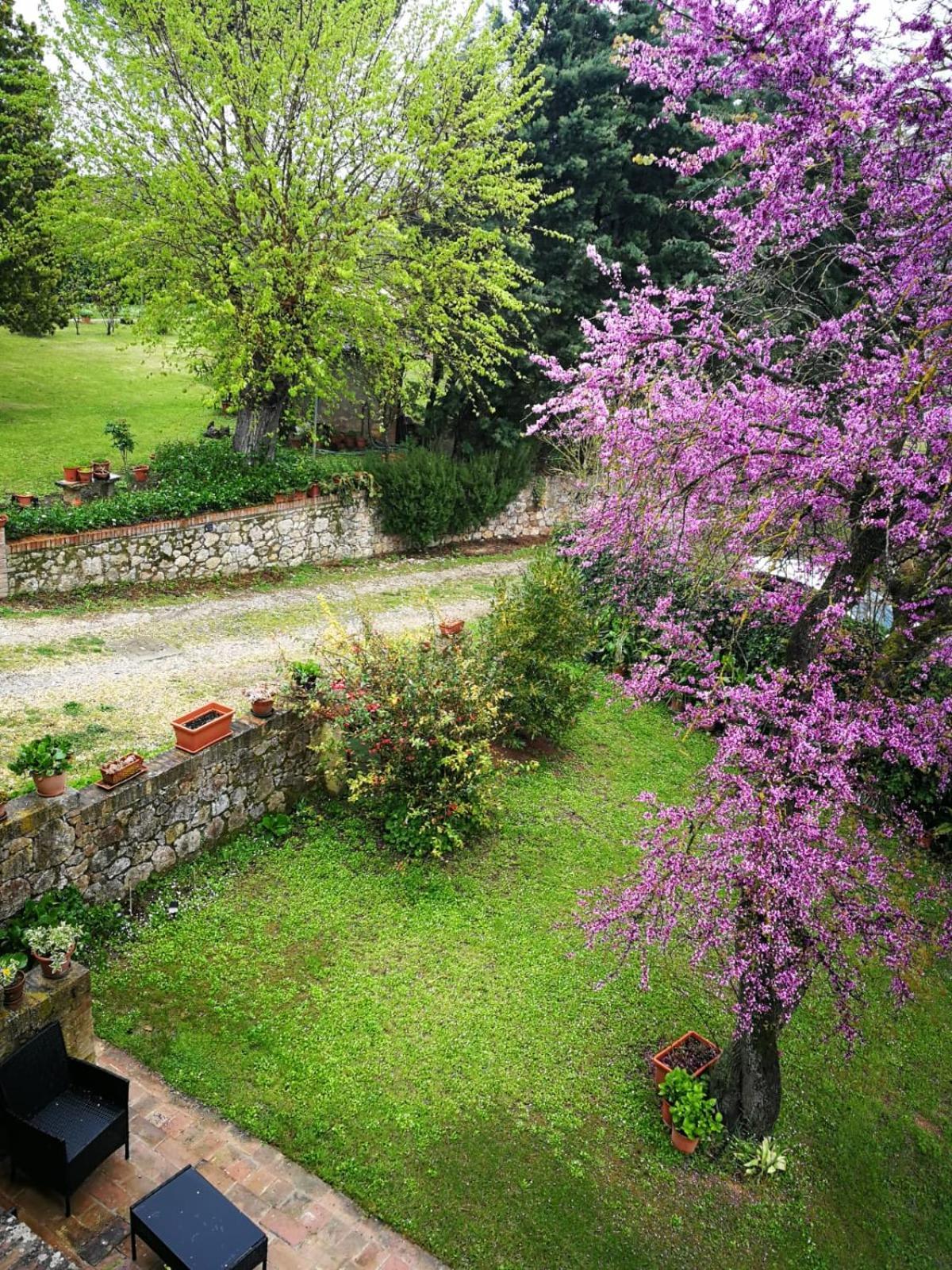 Claudia Vacanza Toscana - Appartamento Nocciolo- 10 Min Da Siena Malignano Zewnętrze zdjęcie